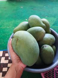 mangga 1